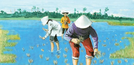 Gourmet nutrition with beans and rice