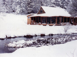 Looking back on 20 years of BHM