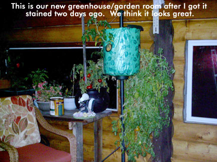 This is our new greenhouse/garden room after I got it stained two days ago.  We think it looks great.