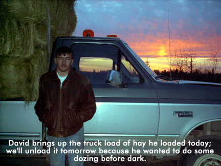 David brings up the truck load of hay he loaded today; we’ll unload it tomorrow because he wanted to do some dozing before dark.