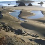 jake-running-at-low-tide.jpg