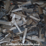 A wood pile is a wonderful thing!