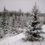 our-first-big-winter-storm-001-copy.jpg
