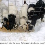 our-first-storm-of-december-002-jpeg.jpg