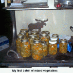 my-first-batch-of-mixed-vegetablesweb-jpeg
