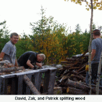 boys-splitting-woodweb-jpeg