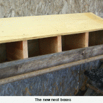 the-new-nest-boxesweb-jpeg