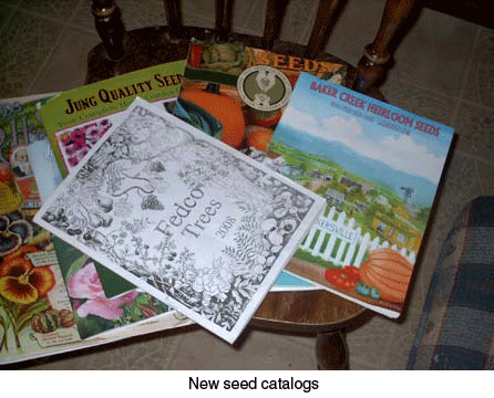 Seed Catalogs