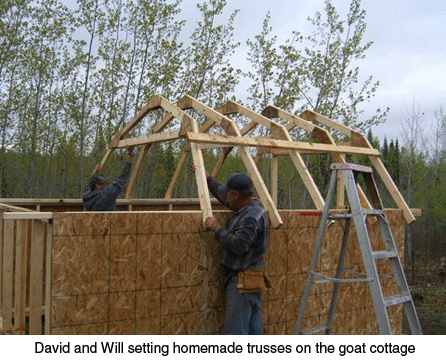 goat-barn-trusses