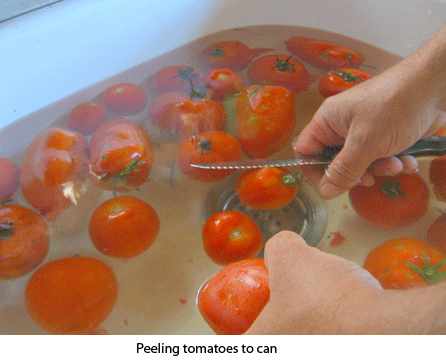 peeling-tomatoes