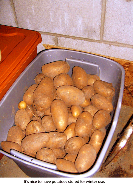 spuds