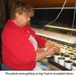 transplanting