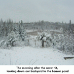 snow