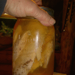 Canned-chicken