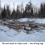 logs