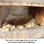 Egg