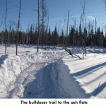 bulldozer-trail
