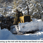 will-hauling-logs