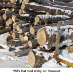 ash-firewood