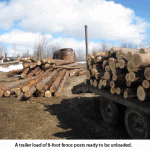 Logs-on-trailer