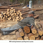 Will-resting