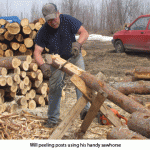 Will-shaving-log