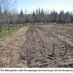 Tilled-garden