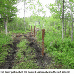 Fenceline