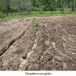 Gullies