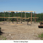 Barn-taking-shape