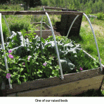 Raised-bed