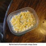 Cottage-cheese