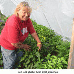Peppers_jal