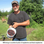 Will-berries