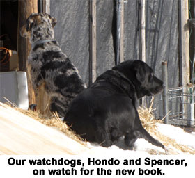 Our watchdogs, Hondo and Spencer, on watch for the new book.