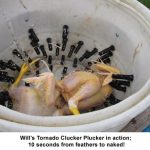 Clucker-plucker