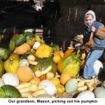 Mason-pumpkins