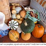 Pumpkins-squash