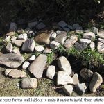 Rocks