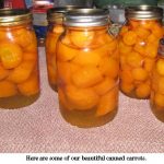 Canned-carrots
