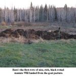 Rotted-manure
