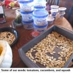 Saving-seeds