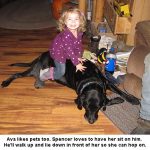 Ava-Spencer