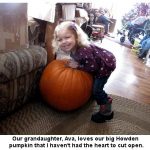 Ava_Howden