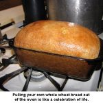 Bread