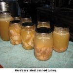 Canned-turkey