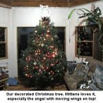 Mittens-tree