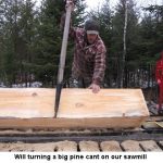 Pine-cant