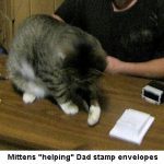 Stamping-envelopes