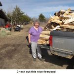 Nice-firewood